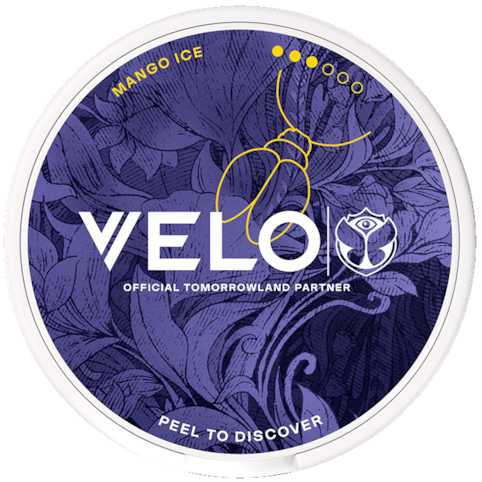 VELO Mango Ice Tomorrowland 2026 Slim Strong