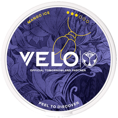 VELO Mango Ice Tomorrowland 2026 Slim Strong