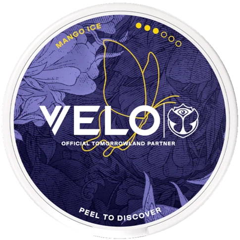 VELO Mango Ice Tomorrowland 2026 Slim Strong