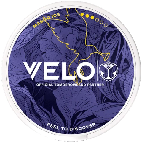 VELO Mango Ice Tomorrowland 2026 Slim Strong