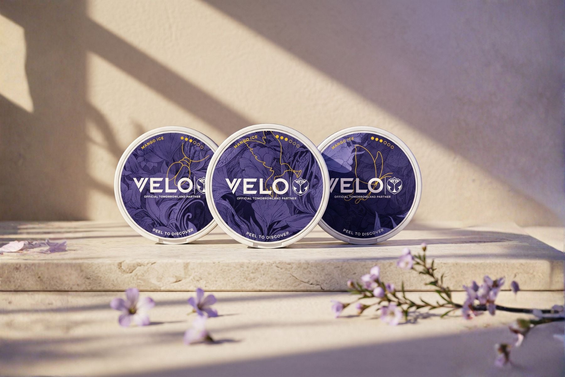VELO — Mango Ice Tomorrowland 2026