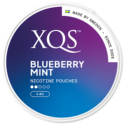 XQS — Blueberry Mint Slim