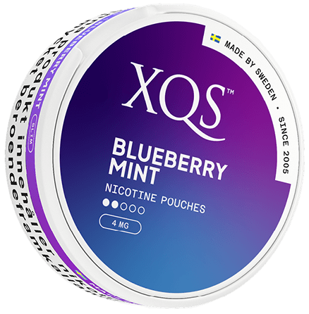 XQS — Blueberry Mint Slim