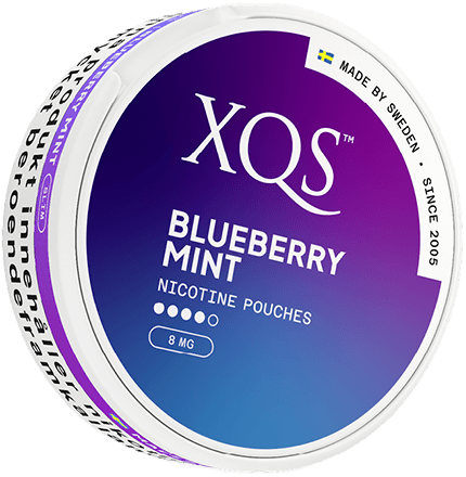XQS — Blueberry Mint Slim