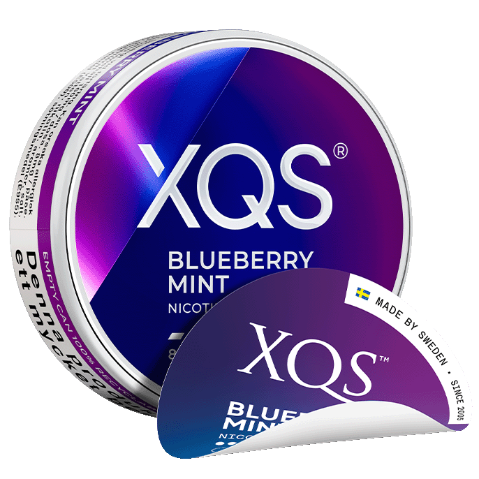 XQS Blueberry Mint Slim Normal