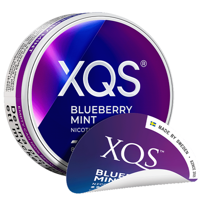 XQS Blueberry Mint Slim Normal